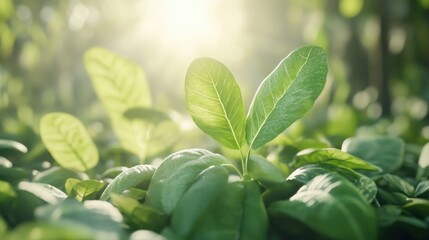 Obraz premium Harnessing solar power for sustainable agriculture, solar-powered greenhouses are a catalyst for local economic growth, driving innovation and boosting food production Explore how renewable energy