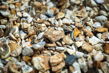 pebble beach, close up,