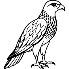 Fototapeta premium eagle on a white background