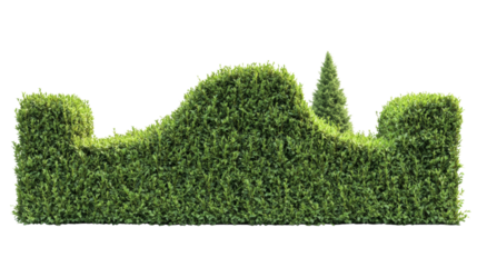 Lush green hedge trimmed neatly isolated transparent background