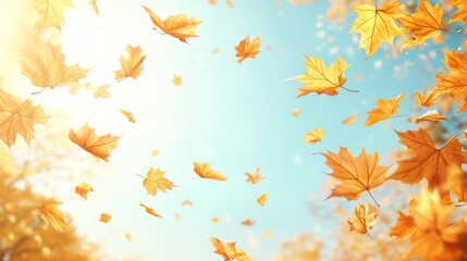 Golden autumn leaves falling on a sunny day.