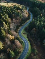 Fototapeta premium Winding Forest Road in Autumn with Vibrant Foliage and Dense Woods : Generative AI
