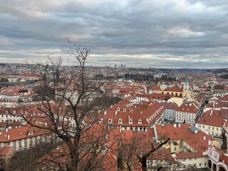 Red roofs on buildings