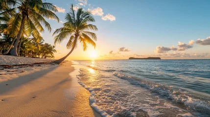 Gordijnen Idyllic sunset on tropical beach with palm trees. © loxia stock image