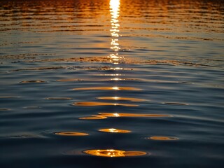 Fototapeta premium reflection in water