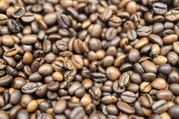 Close up shot of coffee beans.