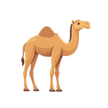 Adorable Camel Illustration: A Delightful Desert Creature