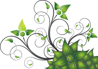 a green plant with green leaves and a green floral illustration