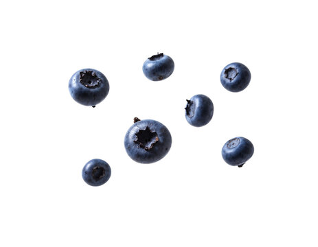blueberries on white background