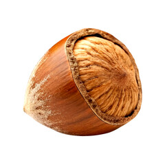 A Single Hazelnut, Transparent Background