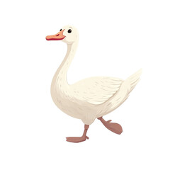 Adorable White Goose Walking