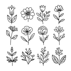 Set of Hand Drawn Floral Line Art Illustrations in Black and White Featuring Minimalist Flowers and Botanical Elements
