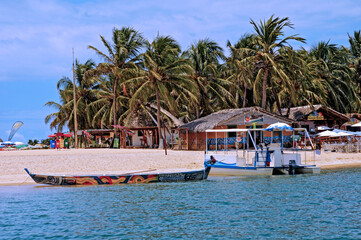Gunga's Beach, Praia do Gunga,, a wild beach with clear waters and a lot of coconut trees. Alagoas,...