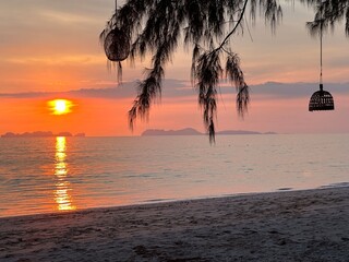 A stunning sunset over the ocean with a tree in the foreground
