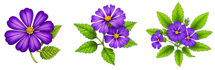 Set of purple flowers with green leaves on a transparent background