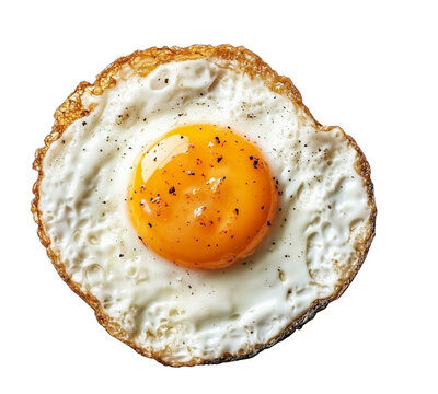 fried egg and boil egg  isolated on white background 