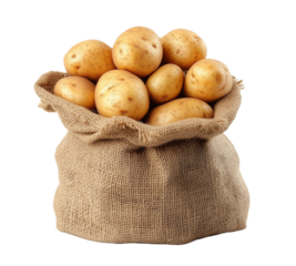 Fresh potatoes isolated on transparent background 