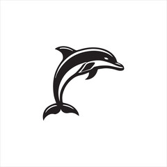 dolphin isolated on white