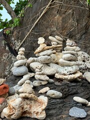 There is a pile of rocks that is sitting on top of a tree trunk