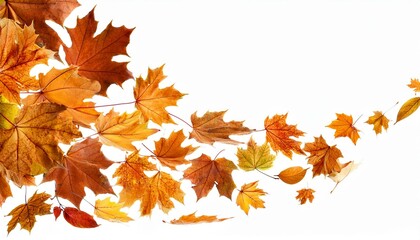 autumn leaves background