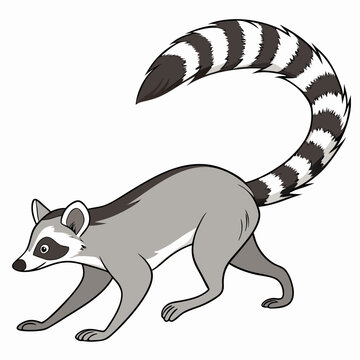 A ringtail running fast, captured in motion. Perfect for wildlife and nature-themed designs.