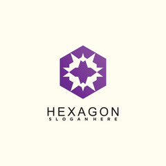 Polygonal Hexagon Logo symbol business