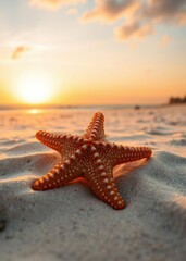Fototapeta na wymiar Starfish on beach at sunset, golden hour light, ocean waves, sandy shore, vivid orange starfish, dramatic sky, soft clouds, serene coastal scene, macro photography, shallow depth of field, warm tones,