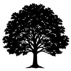 Fototapeta premium silhouette of a tree