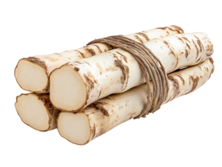 Stacked white logs, sustainable forestry and lumber industry resource pile