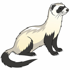 Obraz premium Black-footed ferret digital illustration, wildlife art, conservation species, endangered animal, vector design, nature print.