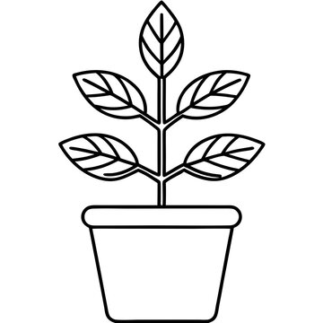 recommend clip art: Simple Line Drawing of a Potted Plant with Leaves