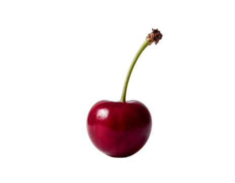 two cherries isolated on white