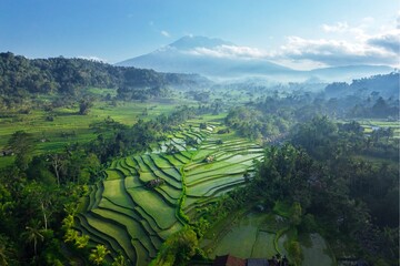 Aerial Landscape of lush Rice Fields and Mount Agung – Sustainable Agriculture in Bali...