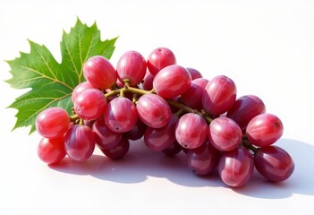 Fototapeta premium Red Grape Bunch with Leaf 