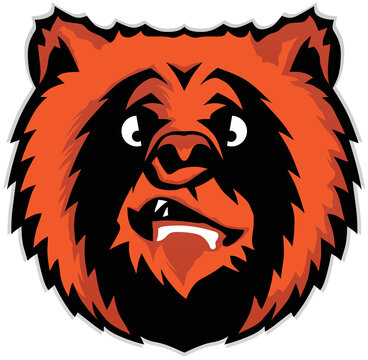 T&ecirc;te d' ours dessin