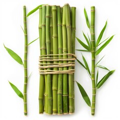 Obraz premium Fresh green tied bamboo stalks and leaves lying on white background representing nature, growth, and sustainability