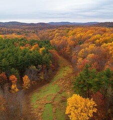 Obraz premium Breathtaking Autumn Landscape with Vibrant Foliage, Rolling Hills, and a Serene Meadow in a Scenic Forested Area During Fall Season