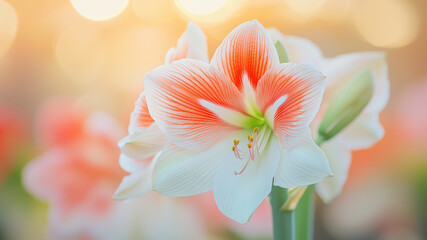 Close-up image of vibrant tropical lilies