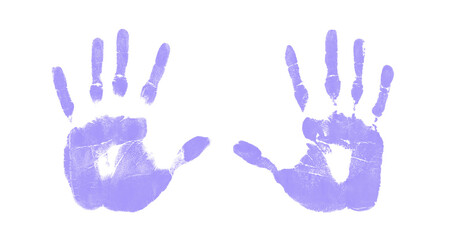 purple hand prints on a transparent background,  human palm and fingers isolated on a white background