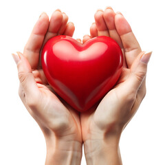 Fototapeta premium Two Hands Holding a Red Heart - Stock Photos & Vector Designs