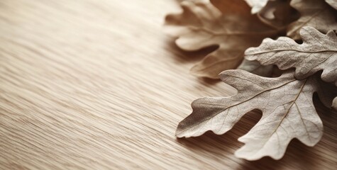 Dried oak leaves on light wood background.