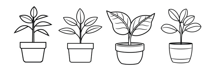 Set of potted plant with leaves drawn icon, silhouette, outline, vector, illustration, isolated on a white background