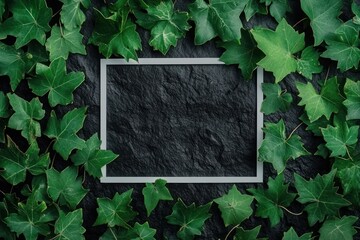 White frame on dark stone surrounded by green leaves.