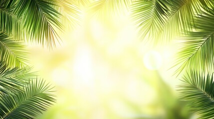 Lush green palm leaves frame a bright, sunny background.