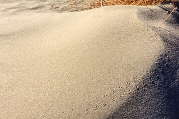 A sandy beach with a shadow cast on it