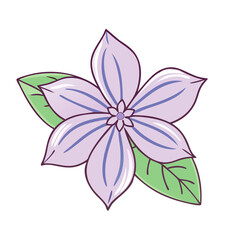 clematis flower illustration, flower vector art, flower icon - Minimalistic flat illustration of clematis flower flower, perfect for icons, logos, and floral-themed designs.

