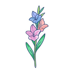 gladiolus flower illustration, flower vector art, flower icon - Minimalistic flat illustration of gladiolus flower flower, perfect for icons, logos, and floral-themed designs.

