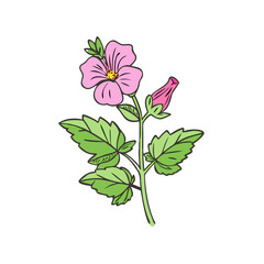 hollyhock flower illustration, flower vector art, flower icon - Minimalistic flat illustration of hollyhock flower flower, perfect for icons, logos, and floral-themed designs.

