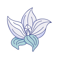 hosta flower illustration, flower vector art, flower icon - Minimalistic flat illustration of hosta flower flower, perfect for icons, logos, and floral-themed designs.

