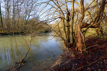 Loing river between the departments of Loiret and Seine et Marne . Dordives village